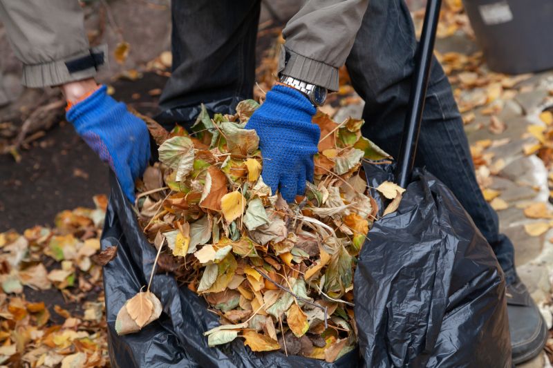 Leaf Collection Containers