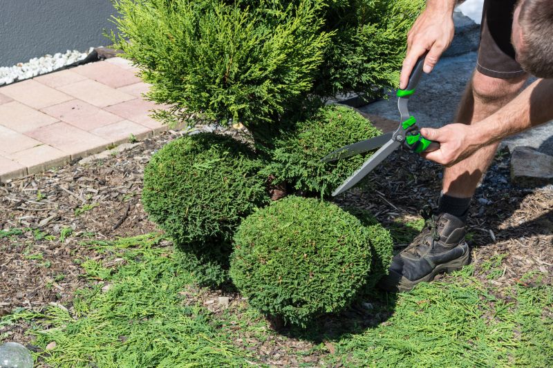 Clipping Shrubs Near Walkway